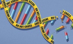 Sapere scientifico e processo penale: itinerari e prospettive