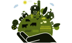 Attività SimuLab – Laboratorio di Diritto Agroalimentare