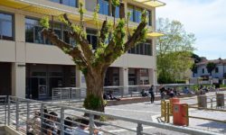 Nuove prospettive in materia di beni pubblici