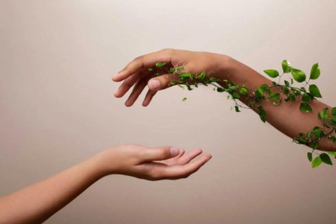Fiducia e sostenibilità nei recenti sviluppi del diritto dei consumatori