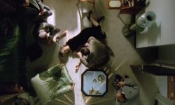 Il reato in scena – La scena del reato