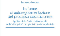 Le forme di autoregolamentazione del processo costituzionale